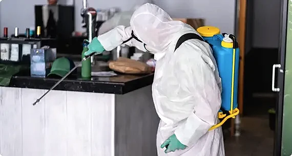 İlaçlama ve Kontrol